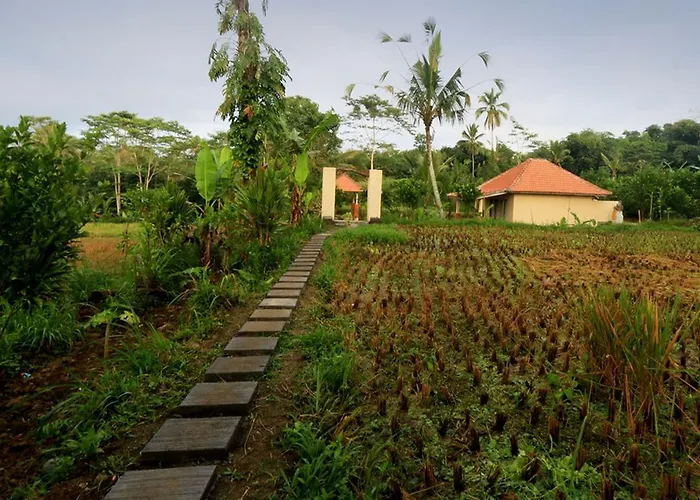 Capital O 94012 Dewa Jati House Penginyahan